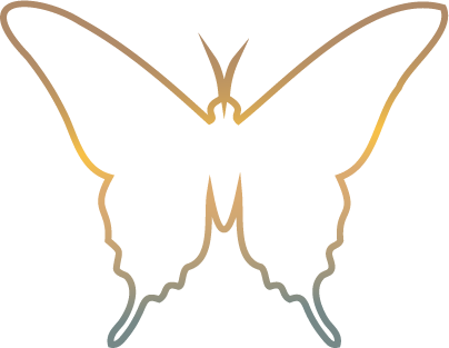 Butterfly gradient icon representing metamorphosis and beauty.