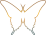 Butterfly gradient icon representing metamorphosis and beauty.
