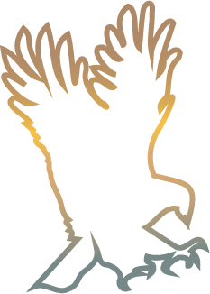 Eagle gradient icon representing vision and strength.