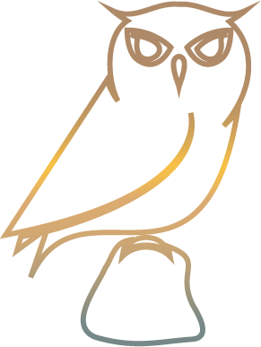 Owl gradient icon representing wisdom and insight