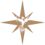 Phoenix star emblem symbolizing renewal and transformation.